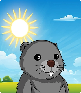 sunshine